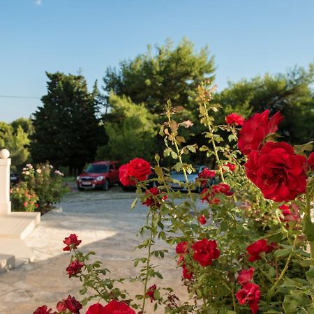 Sun House Apartments Бол Екстериор снимка